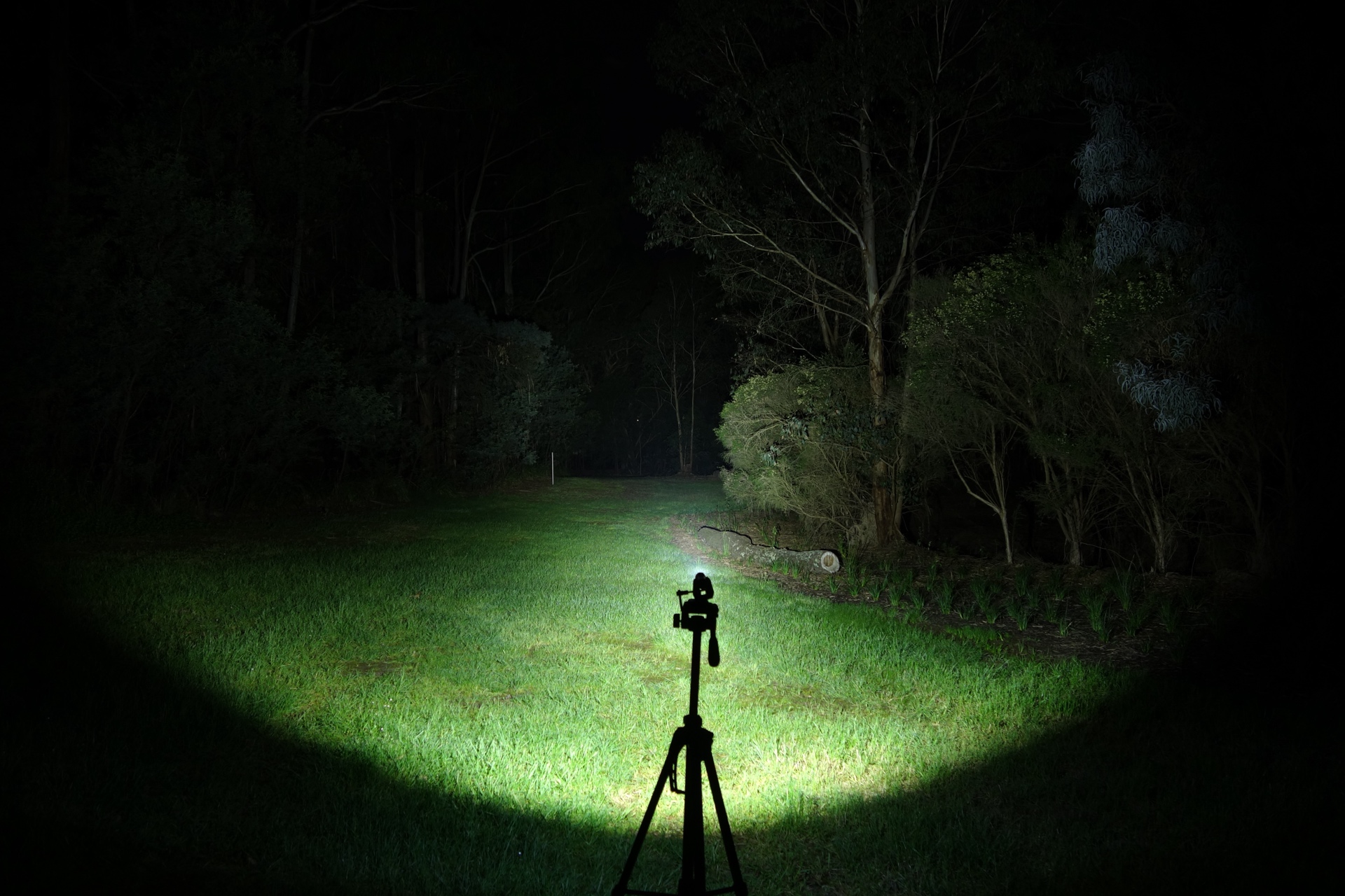 LOOP SK06 Main Light Turbo beamshot