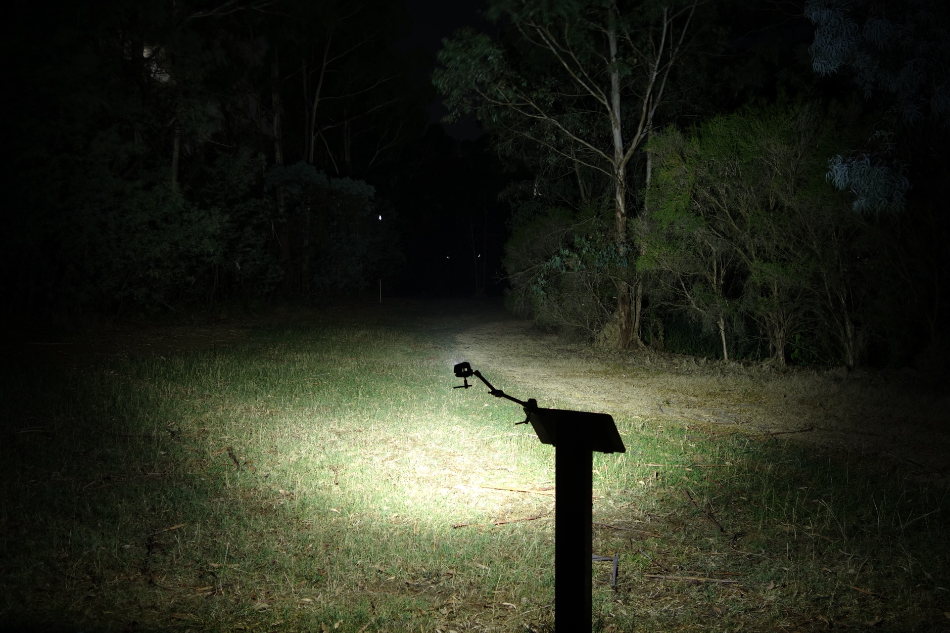 Olight ArkPro Ultra Pure Flood Turbo beamshot