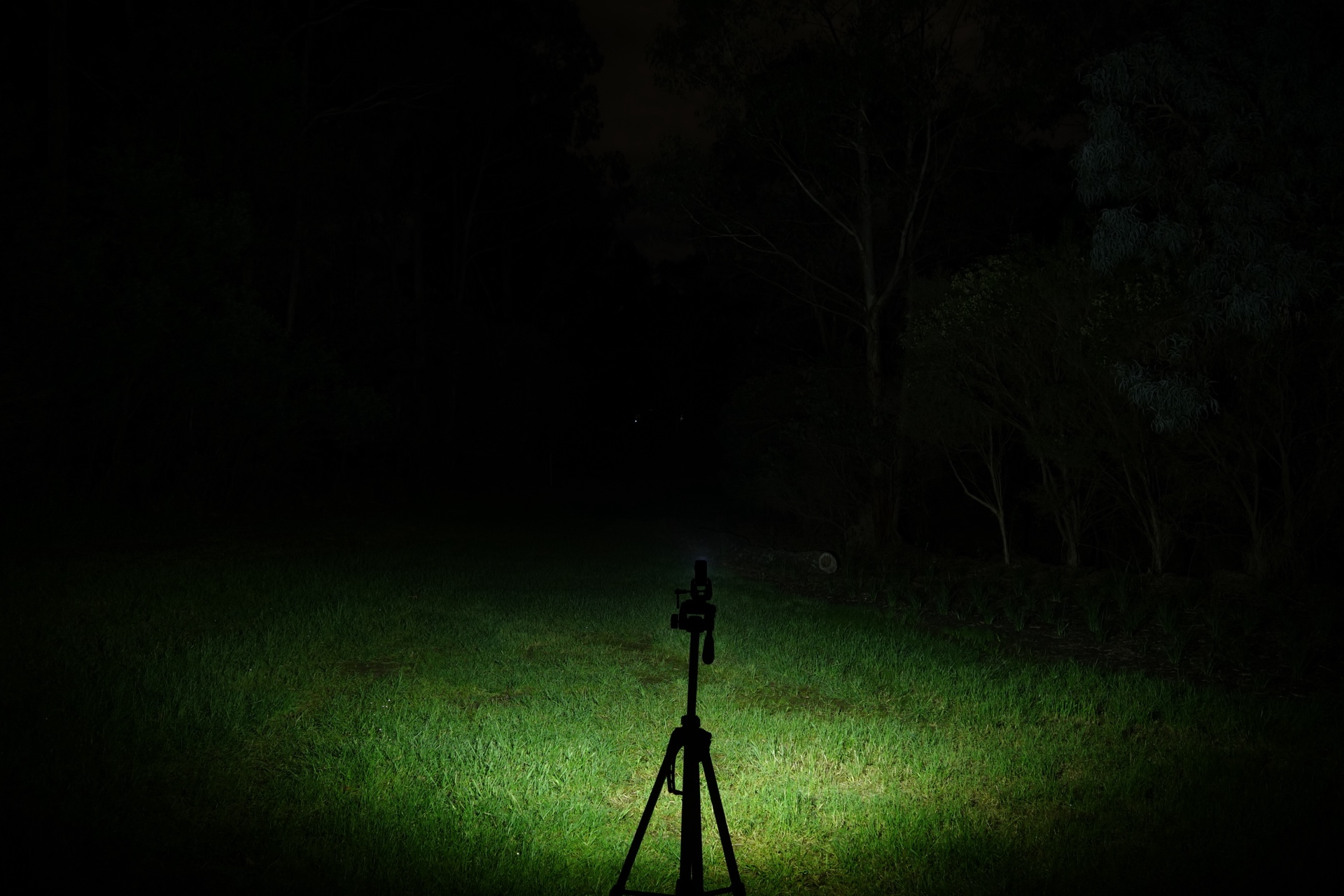 Olight Oclip 2 Ultra Pure Flood Turbo beamshot
