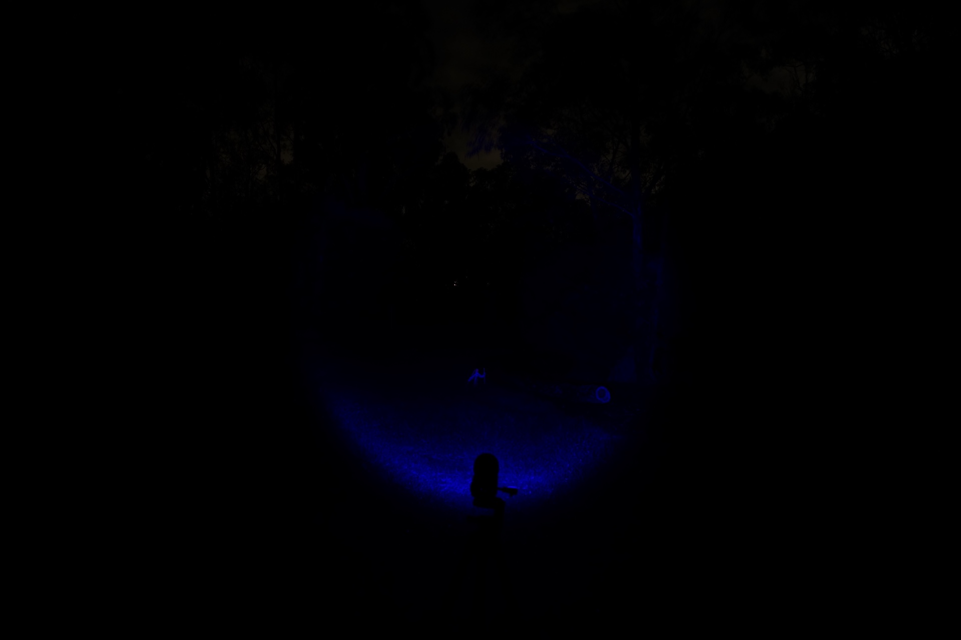 Vastlite Spectra Bow High Zoom Out beamshot