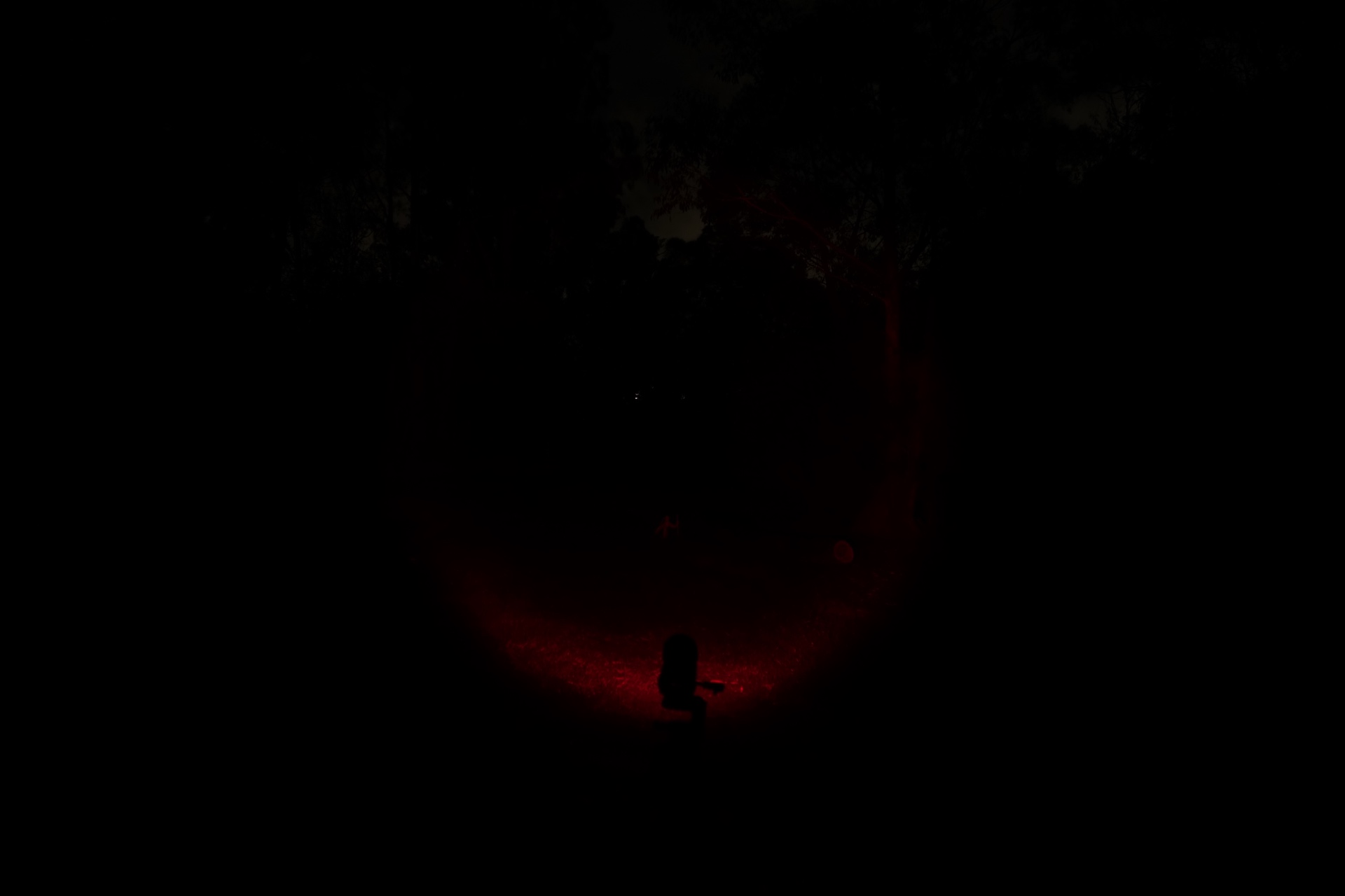 Vastlite Spectra Bow High Zoom Out beamshot