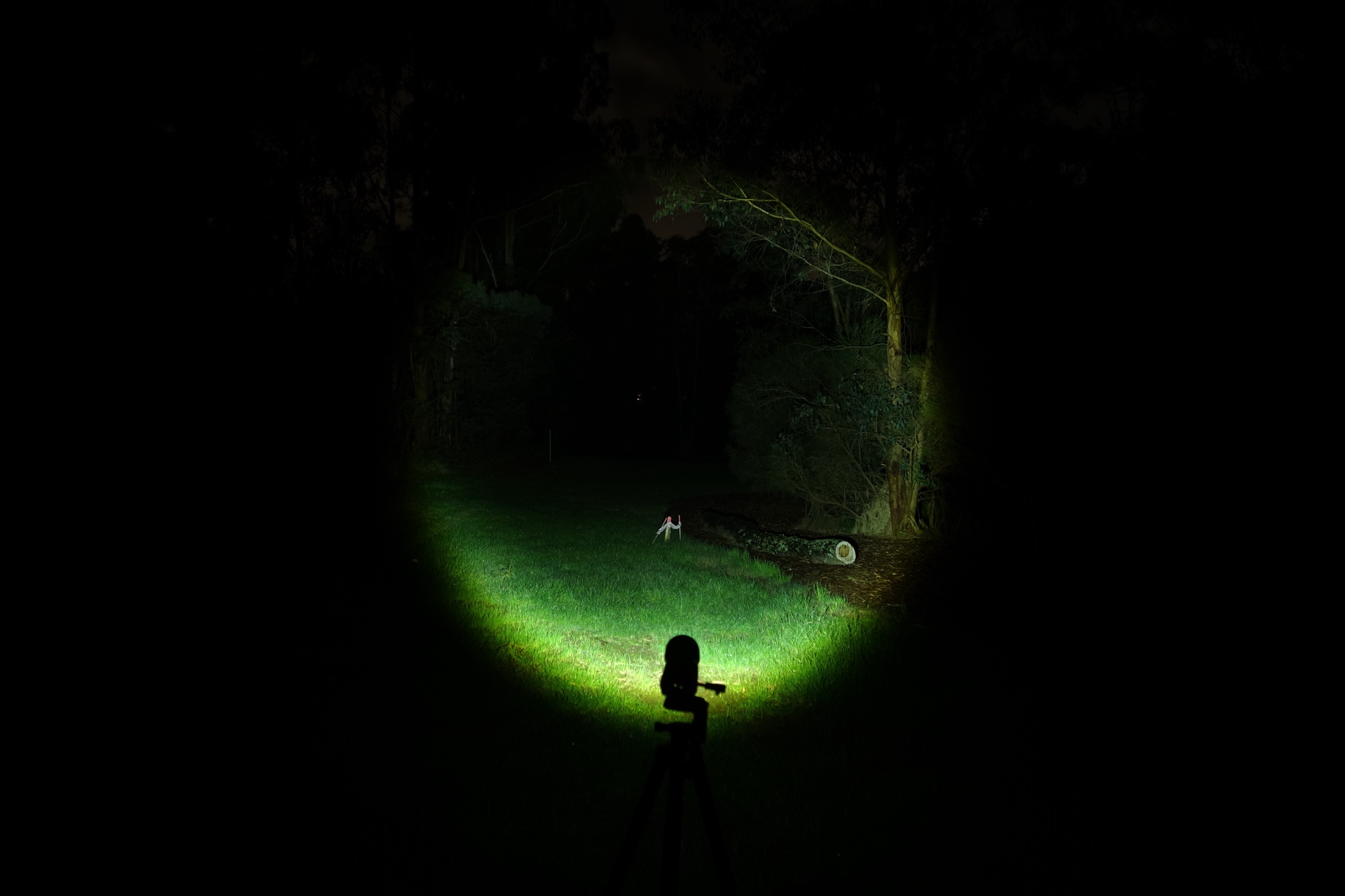 Vastlite Spectra Bow High Zoom Out beamshot