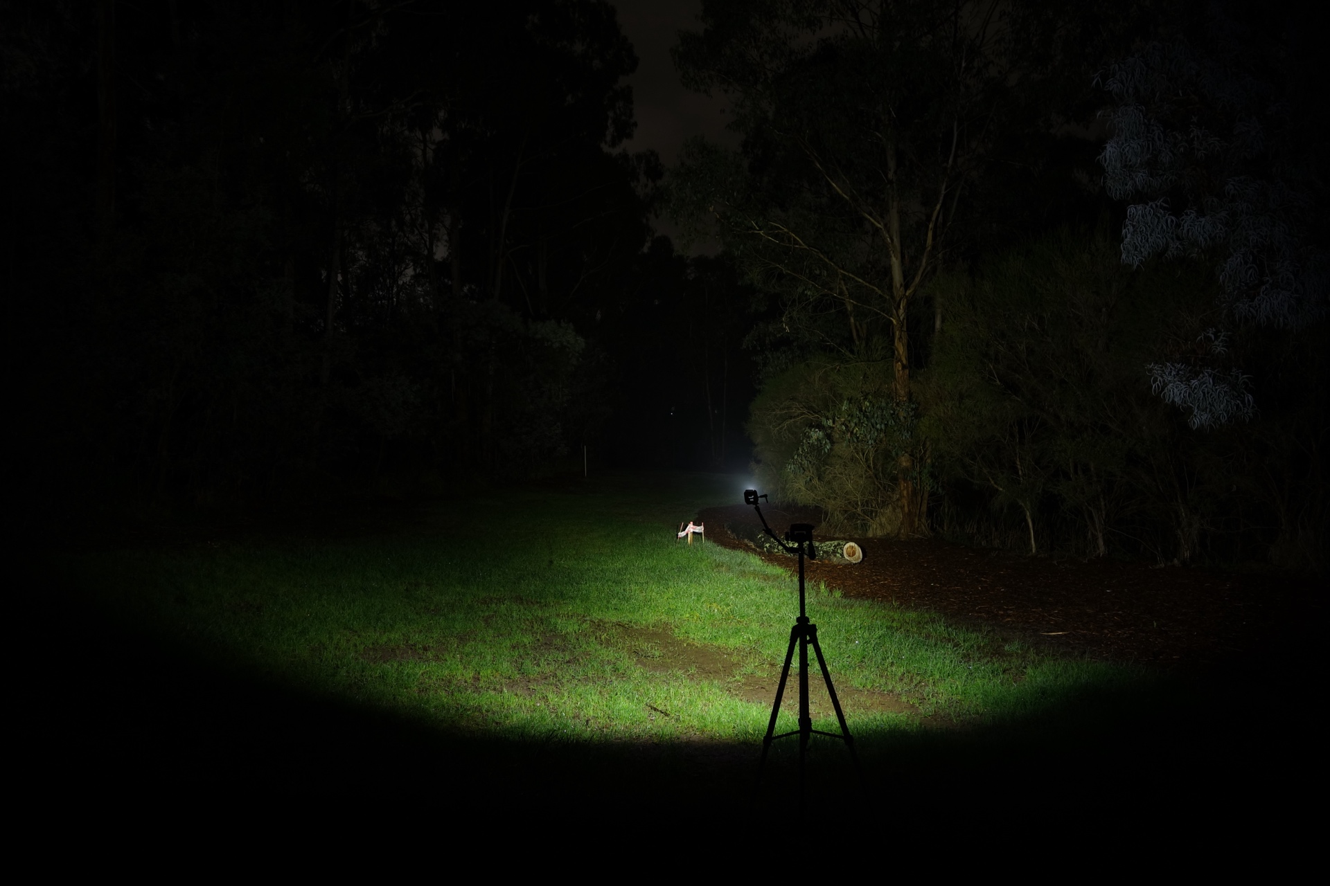 Wuben X5 Turbo beamshot