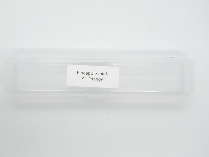 ReyLight Pineapple Mini packaging